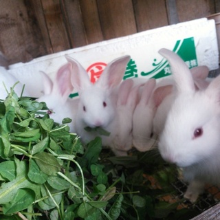 沢山のご応募ありがとうございました！