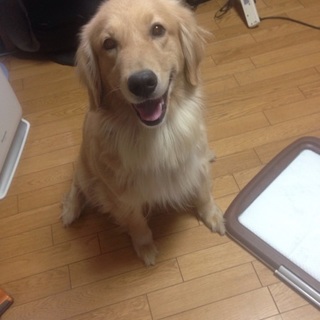 ご応募多数の為 一時停止させて頂きます。