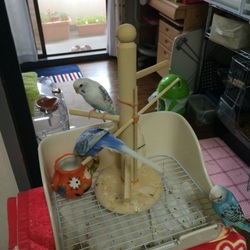 「みんなで」サムネイル2