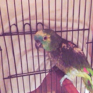 沢山の応募ありがとうございましたm(__)m