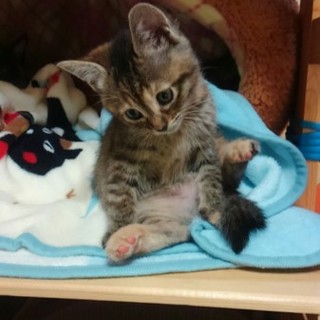 本当にありがとうございました。