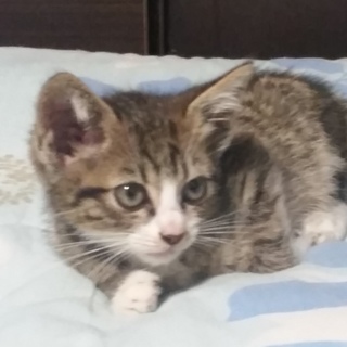 みなさま本当にありがとうございました