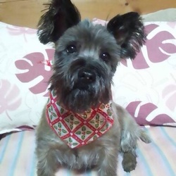 BARU.大好きだったょ