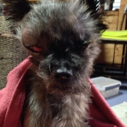 「BARU.大好きだったょ」サムネイル2