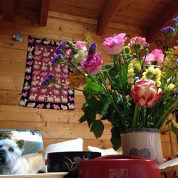 「BARU.大好きだったょ」サムネイル3