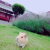 の写真