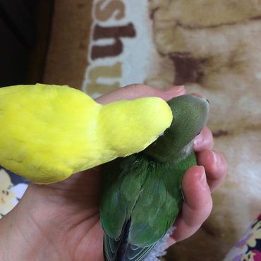 らぶに優しいくぅちゃん❤️