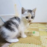 可愛がってくれる方募集中!! サムネイル5