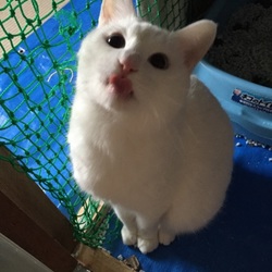 久しぶりの投稿