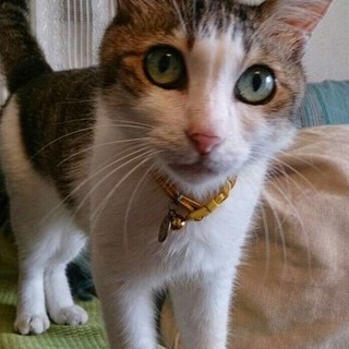 急募！高齢者の方歓迎