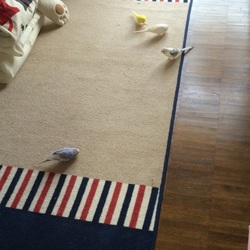 「元気〜w」サムネイル2