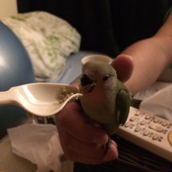 「元気〜w」サムネイル3