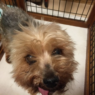 よろしくお願いします