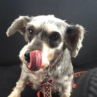 ビビリだけど甘えたな女の子♪