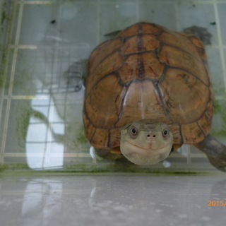 ありがとうございました。