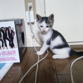 よろしくお願いいたします