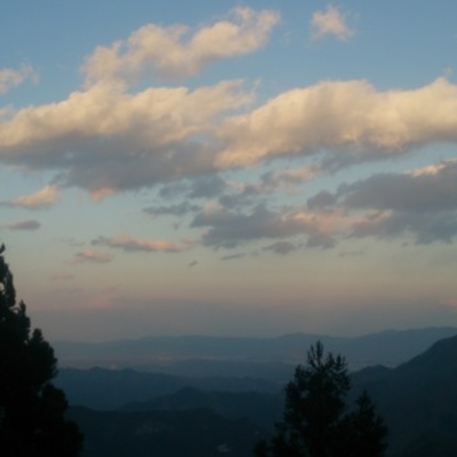 むとすけのカバー写真