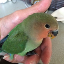 「おぉぉ〜！！」サムネイル1