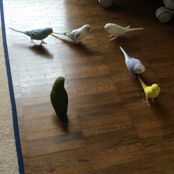 「おぉぉ〜！！」サムネイル2