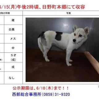 アミティエに行きました。