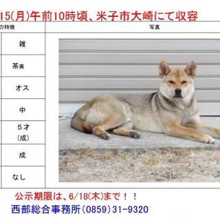 アミティエに行きました。