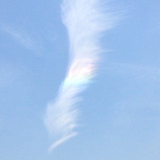 終了しました。