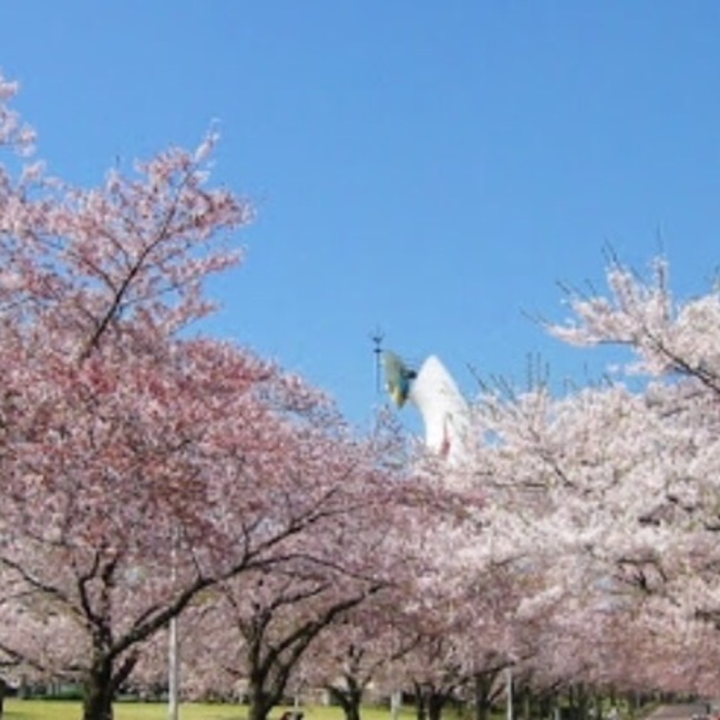 カティスのカバー写真