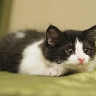 元気いっぱい、活発な男の子です♡