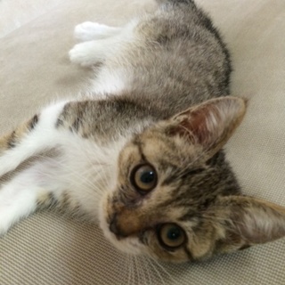 幸せにしてやって下さい！