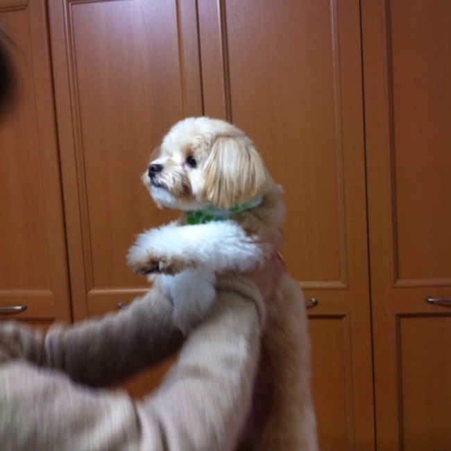 ちなかのカバー写真