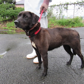 譲渡されました！！