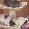 すやすや♡