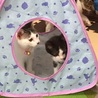 かくれんぼ♡