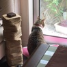 の写真