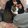 お兄ちゃん大好き