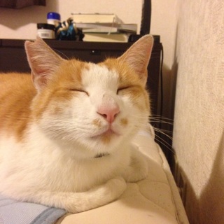 人が大好き テル君