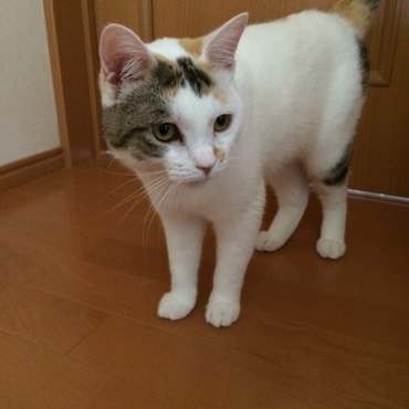 の写真