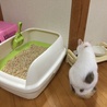 の写真