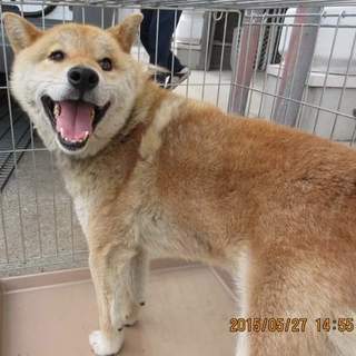 この子の命を救ってください。