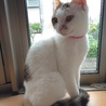 の写真
