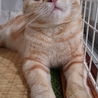 の写真