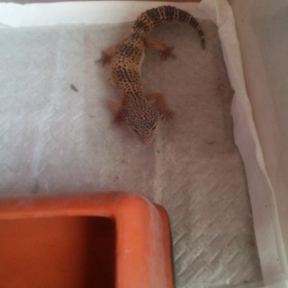 沢山のご応募ありがとうございました。