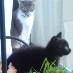 次郎：４日目（６月２２日）仲良くなってきた気配