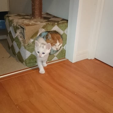 仲良くお目覚め(*^^*)お腹すいたよ