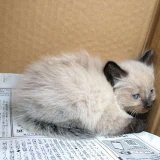 たくさんのお声がけいただき、ありがとうございます。