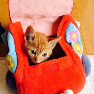 交渉中につき応募中止！