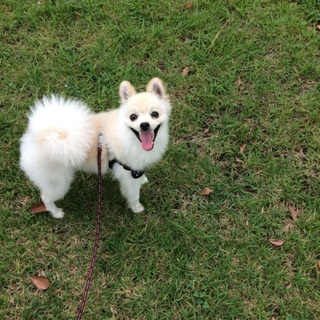 急募！かまってちゃん