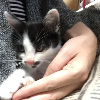 急募です！金曜日まで