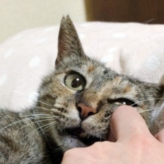 一緒に寝てくれるいつきちゃん