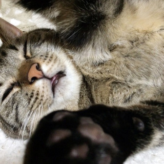 遊ぶの大好き！すぐに仲良くなれる☆礼音くん